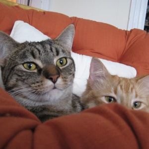 Meet your Posher, Kathryn